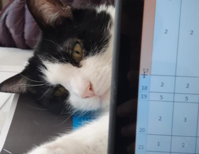 Retours d’expérience : quand le virus fait bouger les choses… en positif !